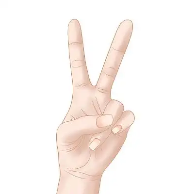 姿势 动作 耶姿势 元素 设计手势耶元素