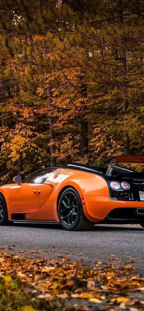 橙色布加迪超跑特别版竖屏壁纸