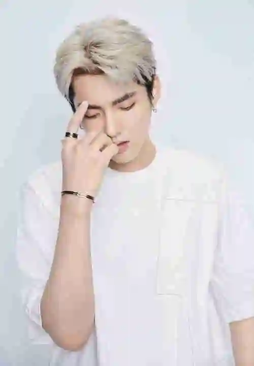 全球品牌代言人吴亦凡佩戴宝格丽b.