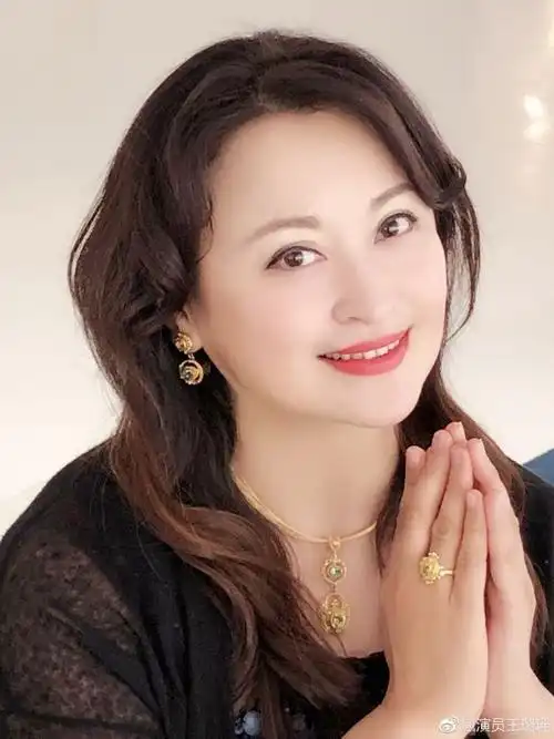 房地产商李辙,李辙家产丰厚,有过一次失败的婚姻,与前妻还有一个儿子