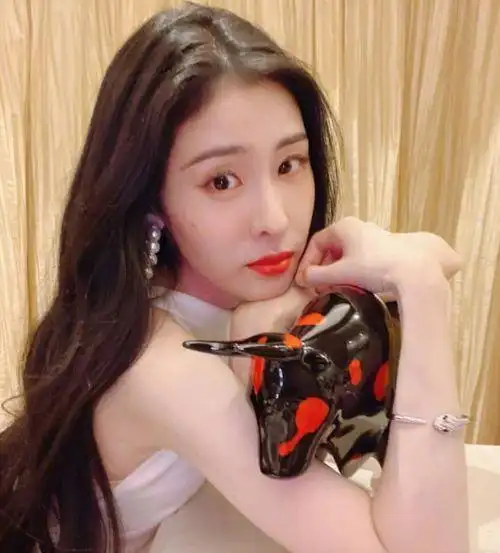 张碧晨无人敢娶2020_张碧晨上节目是带自己的女儿吗-感悟人生