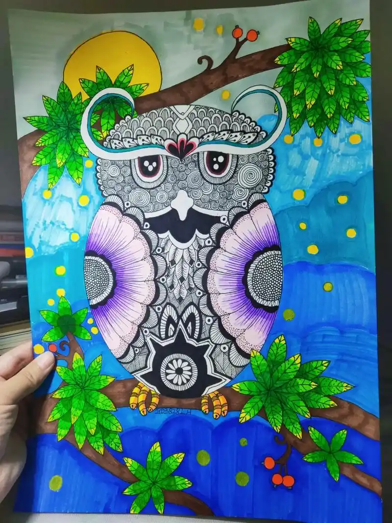 第十八篇:《猫头鹰》适合9～15岁的小朋友#黑白线描画 #马 - 抖音