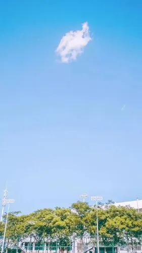 7月1日 14:06   关注  ins 壁纸 原宿 蓝色系 评论 收藏