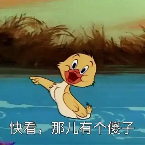 快看那儿有个傻子鸭鸭表情包有个傻子那儿表情
