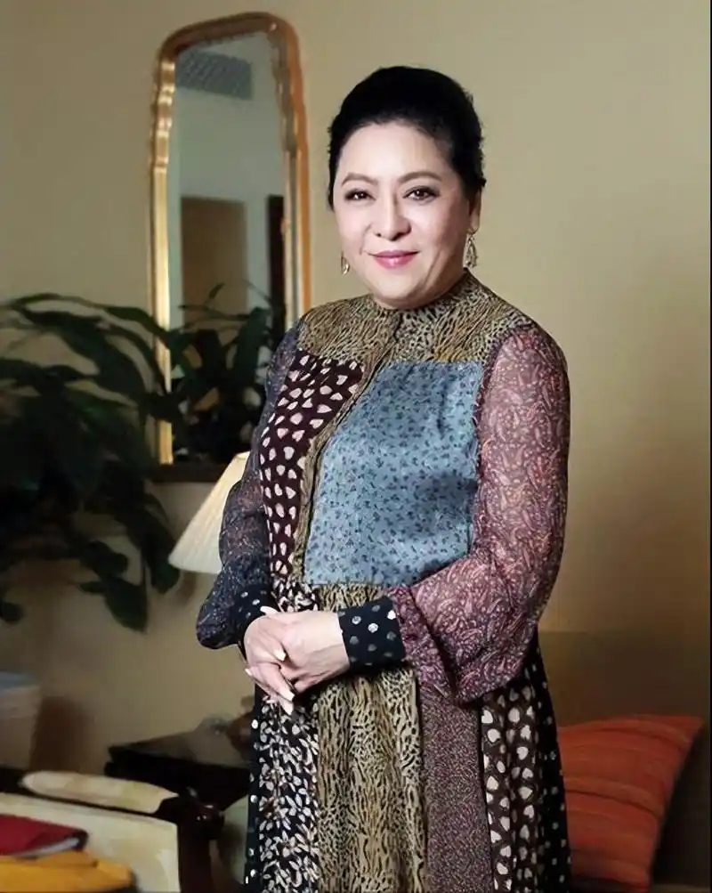 向华强背后的女人 陈岚身为"香港第一美女",没有看上其他富二代,反而