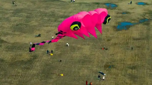 优选作文20篇放风筝三年级下册第2单元