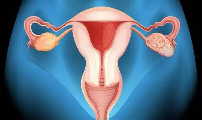 协和谭先杰:《生命密码——子宫保卫战》
