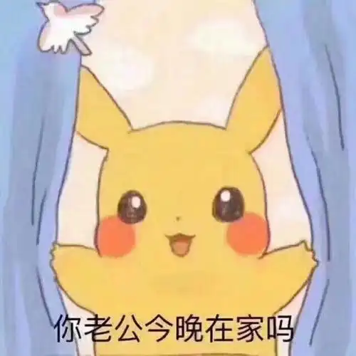 你老公今晚在家吗(皮卡丘)_在家_皮卡丘_今晚_老公表情