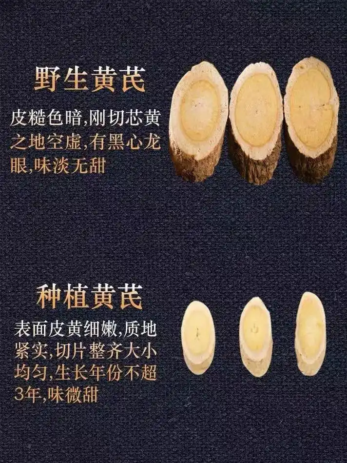 养生之物,物养之身!今日佳品"黄芪"黄芪是补气里面的一味药, - 抖音