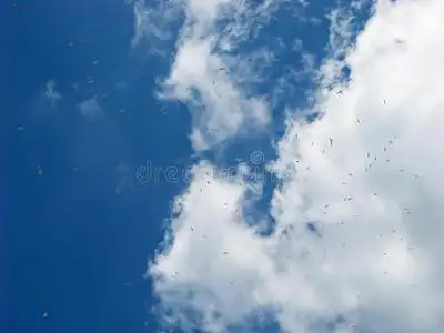 大红包满天飞图片