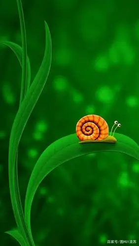 小清新系列绿色壁纸 是春天啊