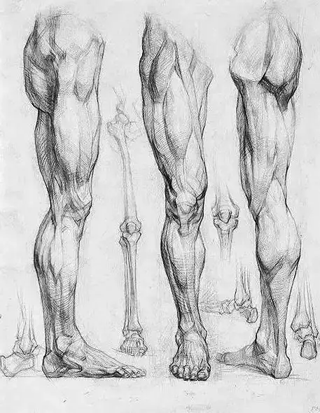 速写怎么快速提高水平