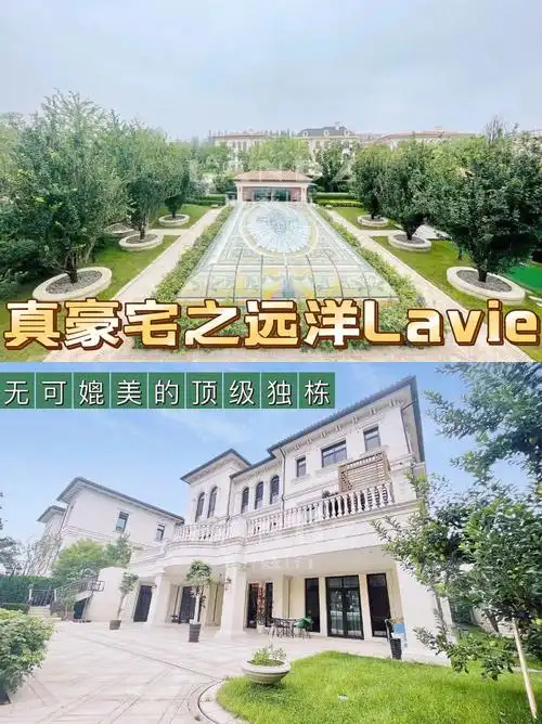 亿级豪宅远洋lavie4000万豪装10居室全套房