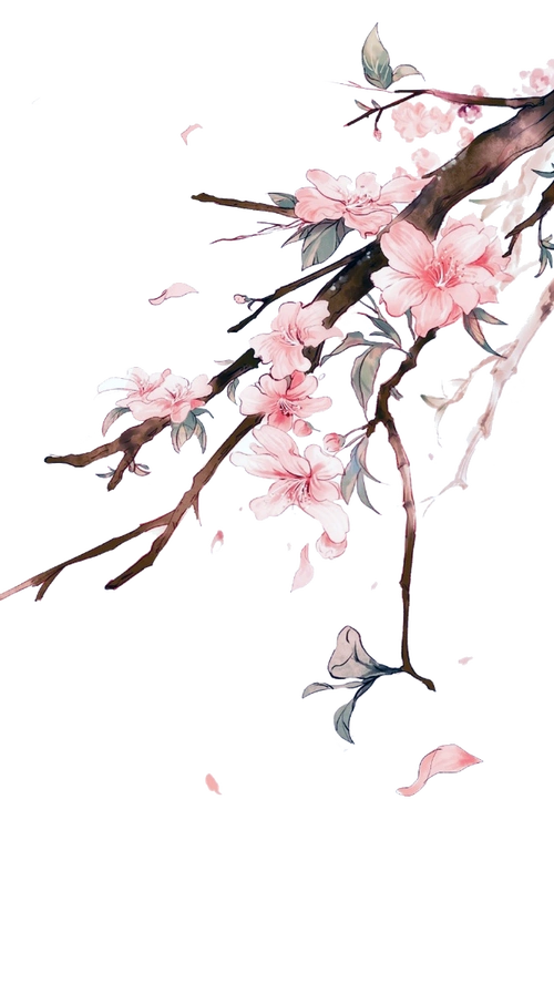 手绘桃花树