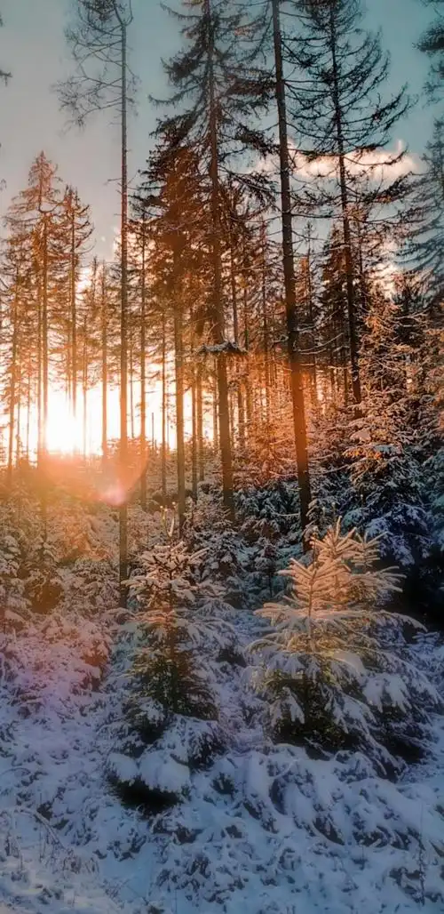 高清全屏壁纸风景类2无水印