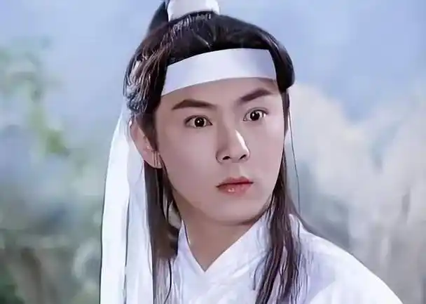 因为张卫健年轻时的长相和《红楼梦》中对"贾宝玉