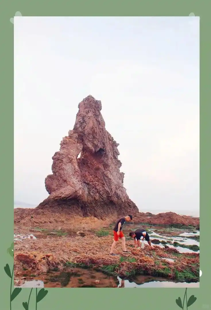 青岛石老人礁石因强雷暴断裂,专家解析背后原因