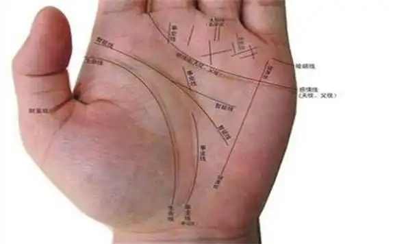 手相三角纹有很好的寓意