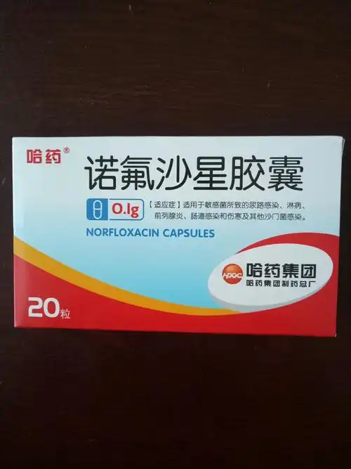 药名:诺氟沙星胶囊