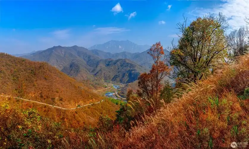 大山里的秋景风光