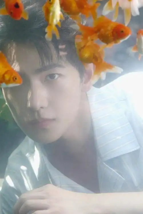 陆文拍的杨洋#是谁又被陆文拍的杨洋帅到了?是我!