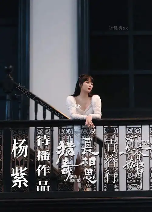 杨紫待播剧海报x2