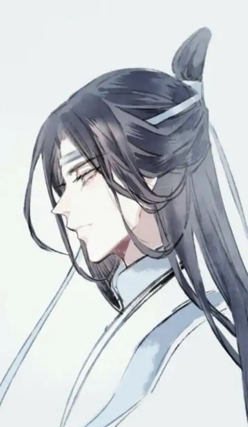 魔道祖师蓝忘机