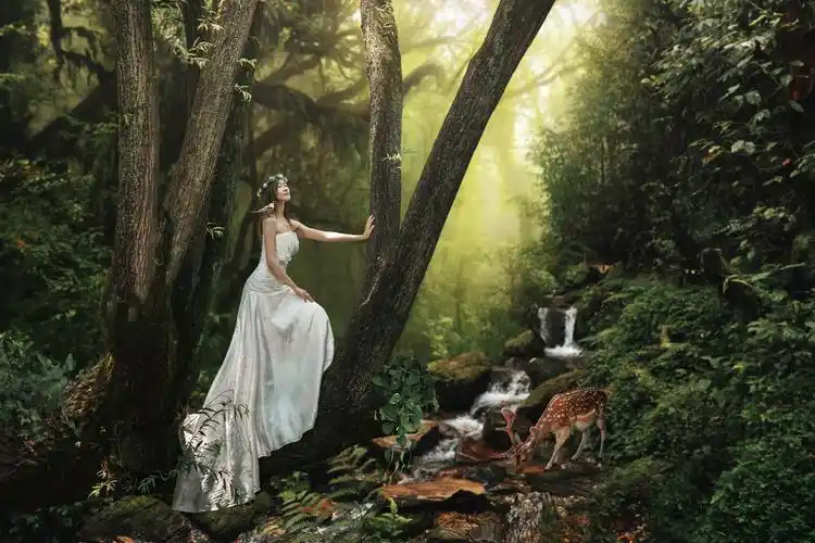 森林物语|摄影|人像|muyanfei - 原创作品 - 站酷 (zcool)