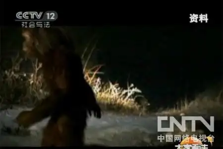 视频神农架野人最清晰目击视频浑身红毛长驴脸