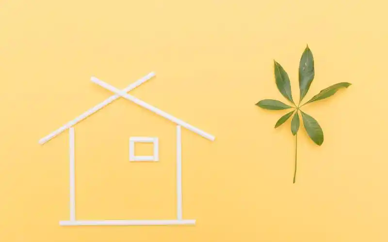 简约卡通小象图片高清电脑壁纸