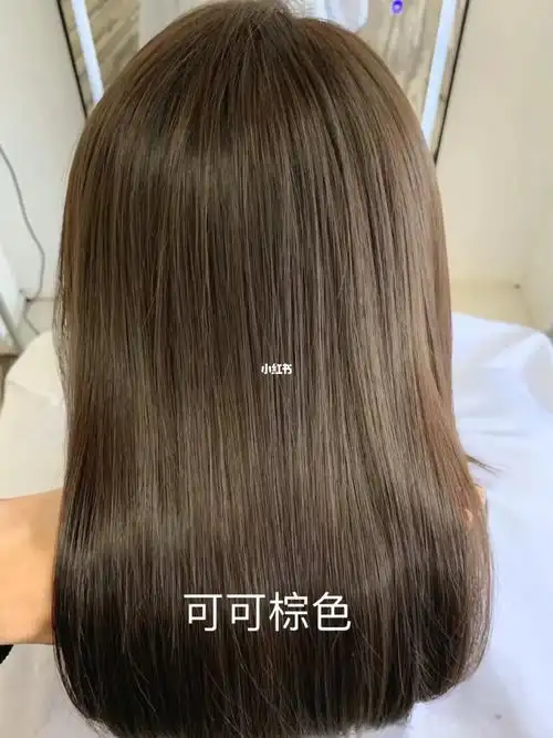 显白发色可可棕色 带有一点淡淡的青色调调97#发色分享