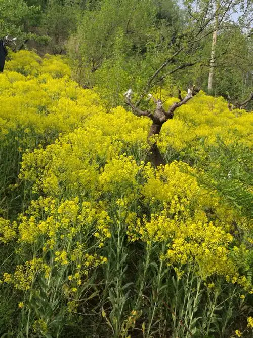 个人生活照和风景照片