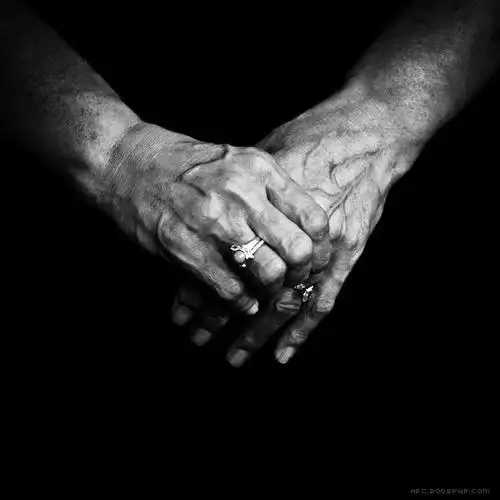 美国alisa levy摄影师作品-手的黑白艺术