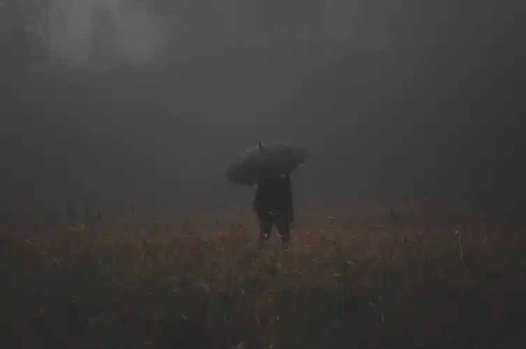 雨中男人背影伤感图片