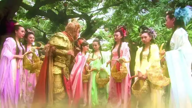 猴哥当时在管理蟠桃园,七仙女奉命采摘仙桃,她们跟孙悟空透露了蟠桃