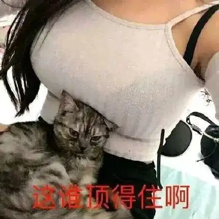 50个又贱又骚气的表情包