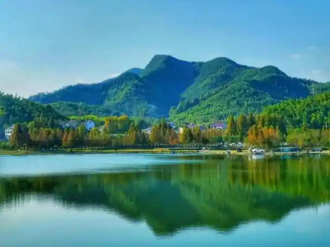 杨卫东:坚定不移走好新时代绿水青山就是金山银山之路 勇当绿色低碳