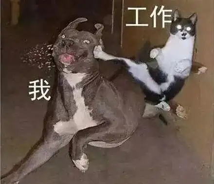 上一个看到这套吐槽工作表情包的人,已经被boss拿去祭天了