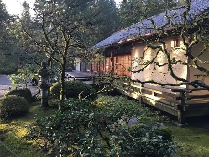 等看尽世间繁华,想有个禅意小院