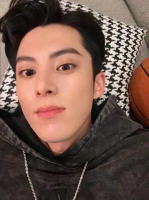 男明星对镜自拍模版王鹤棣没错了