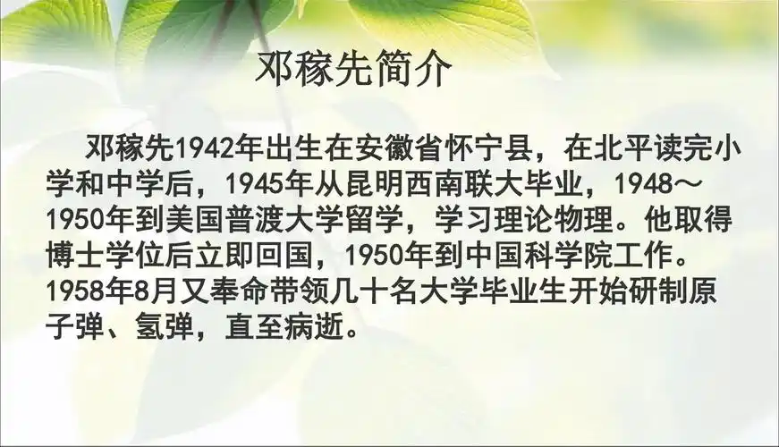 人教版2017初一七年级(下册)语文 邓稼先课件ppt课件