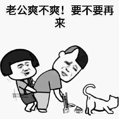 搞笑 表情包