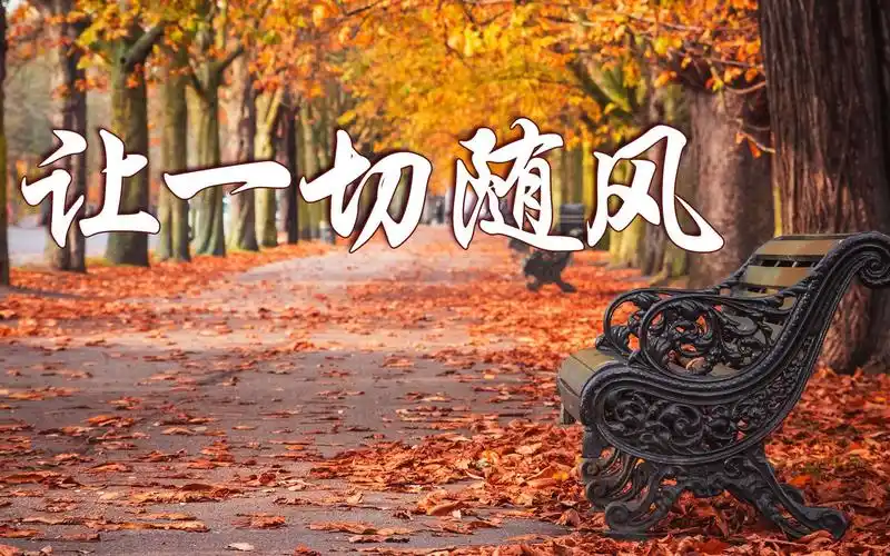 萨克斯让一切随风熟悉动听别有韵味