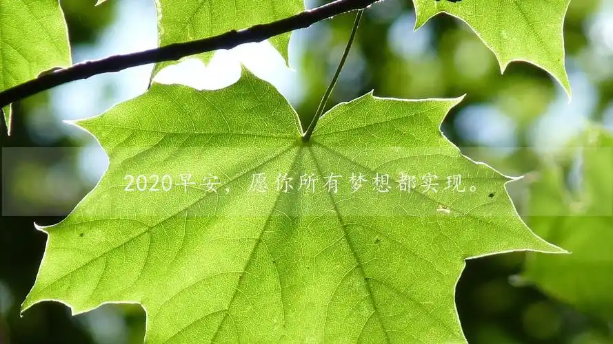早上好新版2020唯美励志暖心简约图片