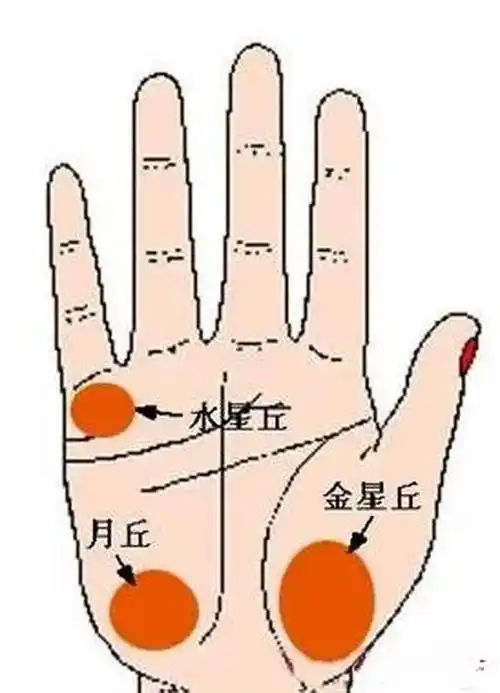 3,月丘突起饱满这样的女性,异性缘也一定好.