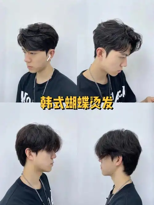 男士发型男士纹理烫男士蝴蝶烫一款韩式纹理蝴蝶烫,韩风满满快来看看