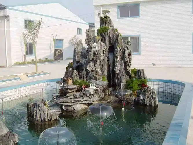 庭院设计施工流程和原理(庭院假山设计效果图片大全)