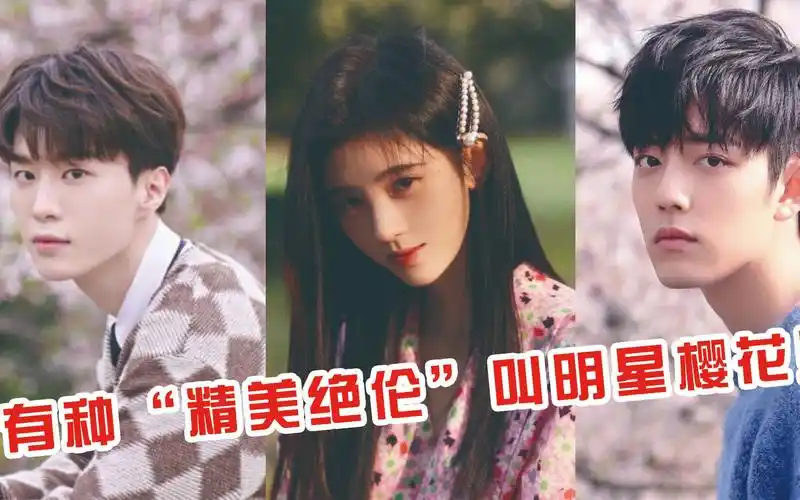 有种"精美绝伦"叫明星樱花照,躲过了肖战范丞丞,谁料竟被鞠婧祎的自拍