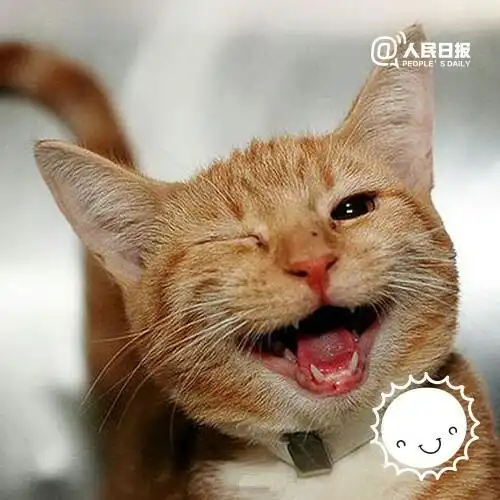 让这个世界灿烂的,不是阳光,而是你的微笑.今天,世界微笑日,用微笑