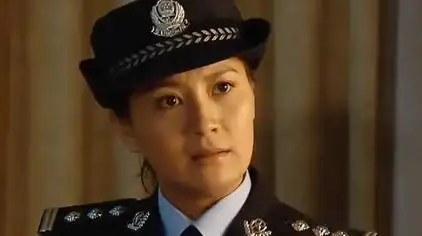 女公安局长廖芳华电视剧 - 西瓜视频